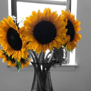 Meet your Posher, Kaitlin